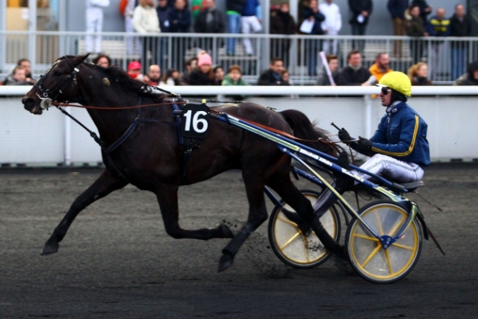 Cede-Saillie-Bird-Parker-(-Tres-bon-prix-)