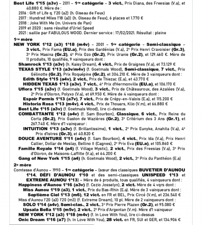 Poulain-et-pouliche-0