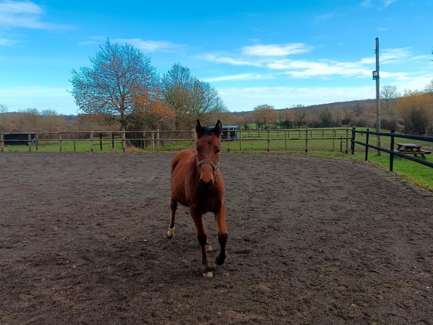 Vend-25--p-X-gospel-pat-0