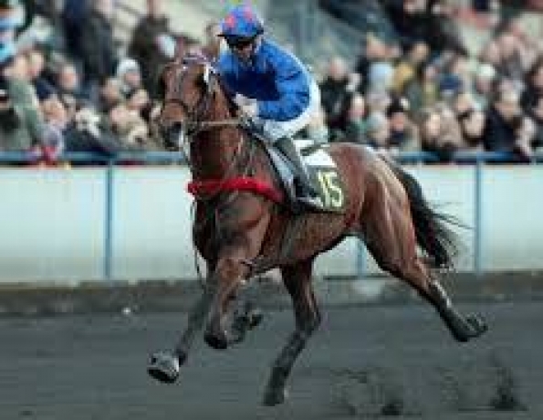 Vend-saillie-Scipion-du-Goutier