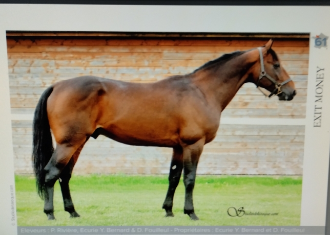 Cede-part-de-exit-money