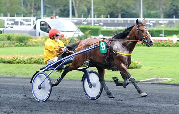 Vend-Saillies-Alto-de-Viette-(-READY-CASH-;-MINI-CEINTURE-)