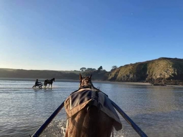Entrainement-et-remise-en-forme-0