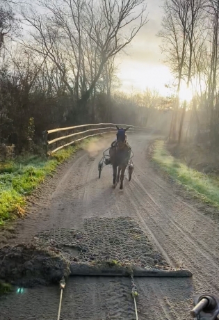 Debourrage---essais-poulains-0