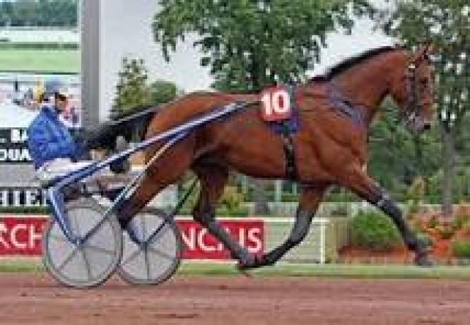 Vente-saillie-de-Rodrigo-Jet-pour-2026