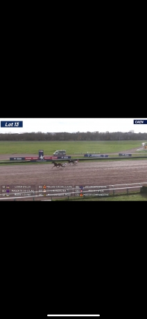 Cheval-‘-M’-qualifier-inedit