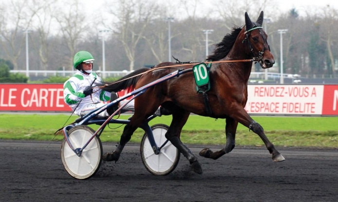 vend-Saillies-Fifty-Kalouma-(-READY-CASH-et-de-SADAYA-DE-CERISY-)