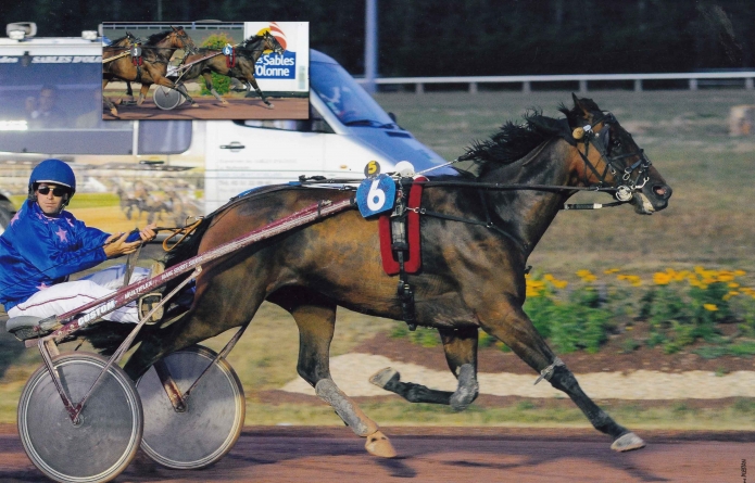 Proprietaire-propose-association