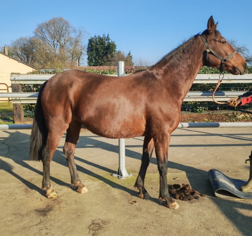 Pouliniere-beau-papier