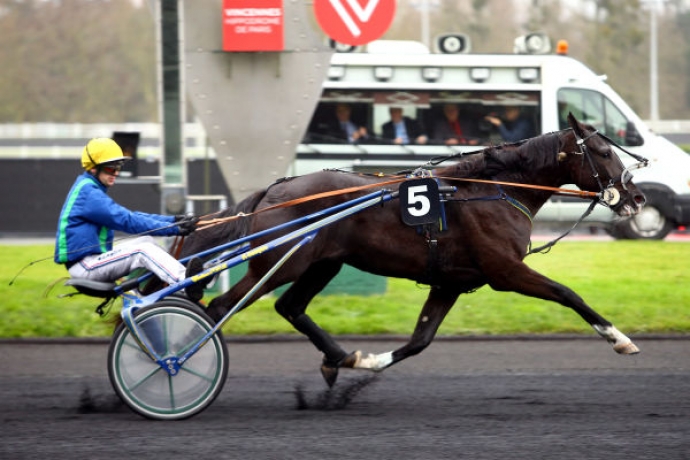 echange-ou-cede-saillie-ou-part-FASTISSIME