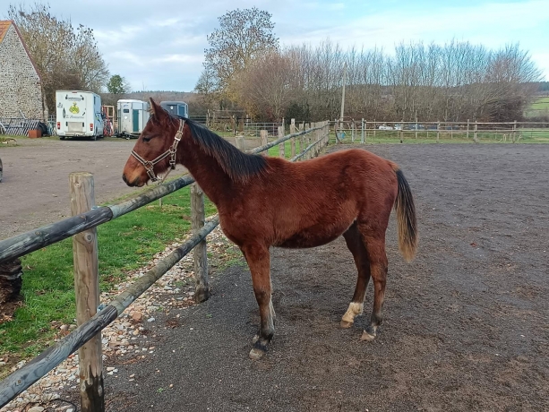 Panamera-Jam-de-gospel-pat