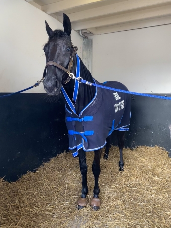 Entrainement---remise-en-forme