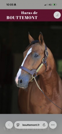 Atlas-de-joudes-(Ready-Cash)