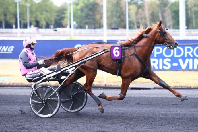 Vends-saillie-HOOKER-BERRY-(Booster-Winner--Osaka-Berry-par-Caballio-in-Blue)