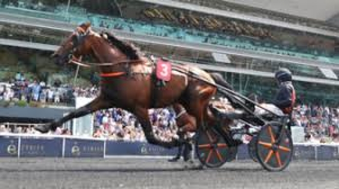 Vends-saillie-JABALPUR-(Booster-Winner--Sliema-par-Infant-du-Bossis)-0