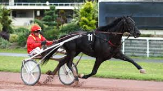 vends-saillie-LIGHT-MY-FIRE-(Ready-Cash--Reethi-Rah-Jet-par-Love-You)