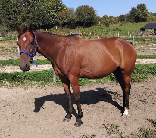 Association-sur-pouliniere