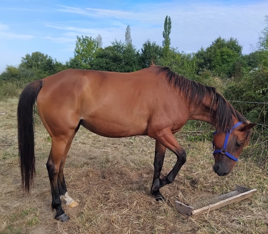 Association-sur-pouliniere-0