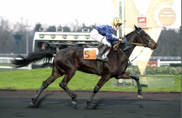 Pouliniere-REINE-DU-COGLAIS-pleine-de-ERIDAN