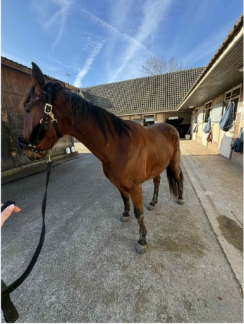 cede-M-Belles-perfs-recentes