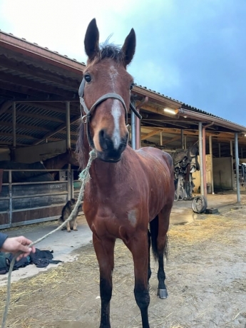 cede-M-1820€-DE-Gains-0