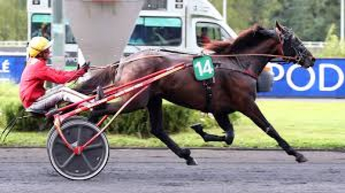 Vends-saillie-KAPITANO-DE-SOURCE-(Ready-Cash-Varina-par-Norginio)