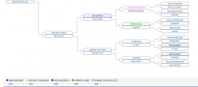 Kevas-des-Yolais--souche-maternelle-solide--fertillite-confirme-1