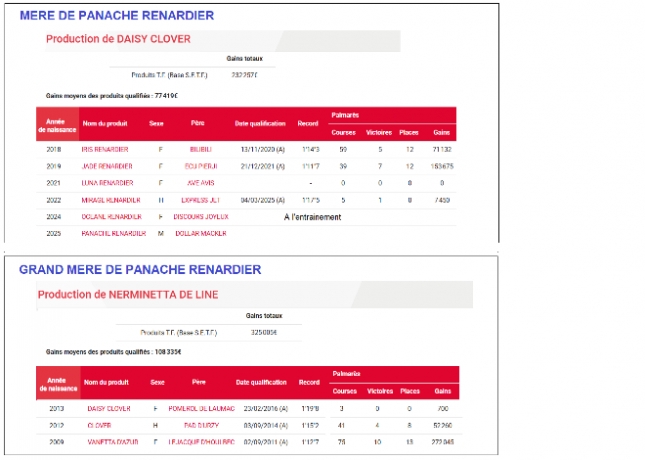 Vend-poulain-P-par-DOLLAR-MACKER-et-mere-1iere-categorie-2