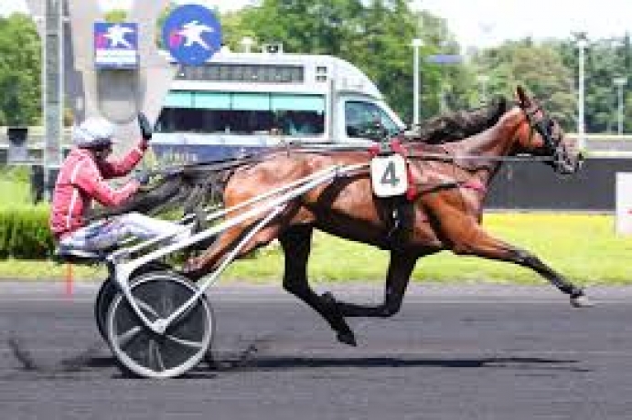 Vends-saillie-de-KEEP-GOING-(Follow-You--Discovery-Bond-par-Royal-Dream)