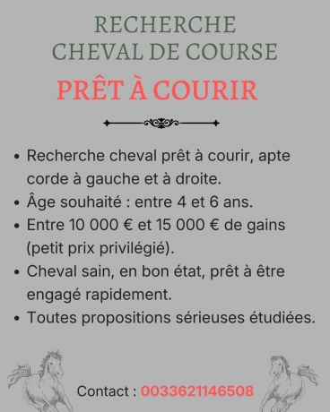 Recherche-cheval-de-Course-pret-a-courir