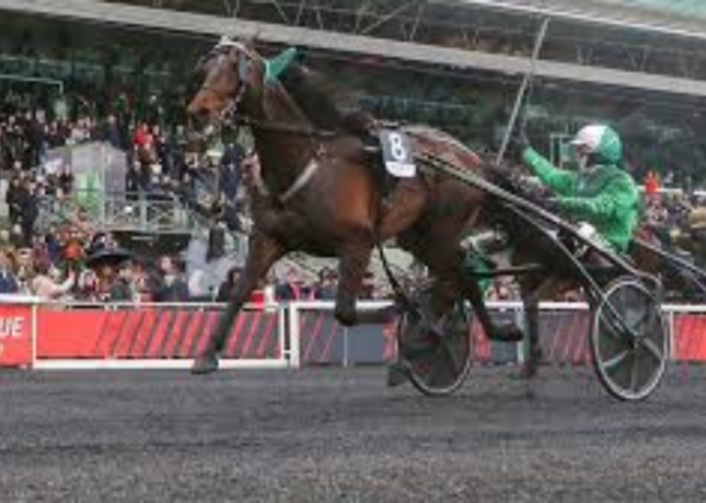 A-vendre-saillie-HUSSARD-DU-LANDRET-0