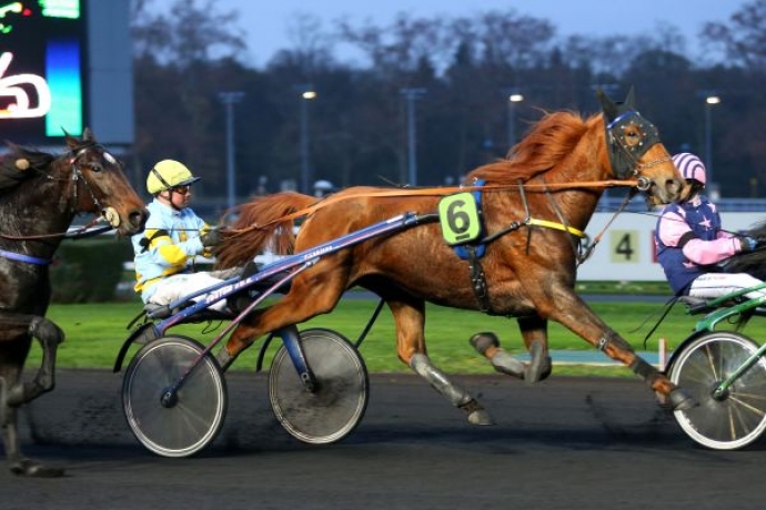 Vends-saillie-de-DUCATO-BOURBON-(Love-You--Kamera-Bourbon-par-Cezio-Josselyn)-0