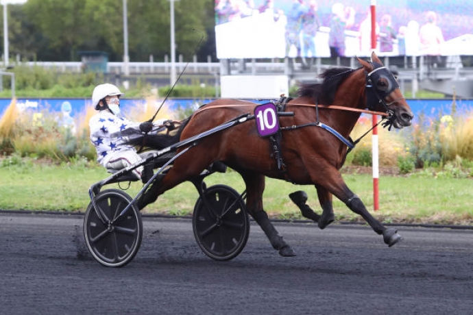 Vends-saillie-GO-ON-BOY-(Password--Balginette-par-Hasting)