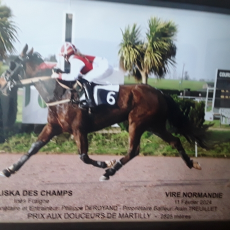 Pouliniere-a-louer-0