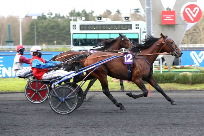 Vends-saillie-IN-THE-MONEY-(Cristal-Money--Destinee-Cash-par-Ready-Cash)-Prix--3200-€-HT-PV