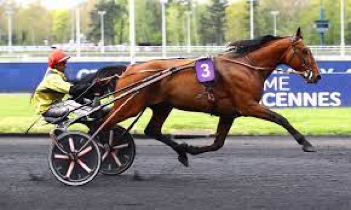 Vends-saillie-IT-S-A-DOLLAR-MACKER-(Saxo-de-Vandel--Salt-Lake-City-par-Insert-Gede)