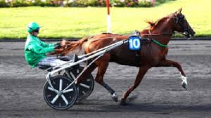 Vends-saillie-JUNINHO-DRY-(Carat-Williams--Delicatessen-par-The-Best-Madrik)