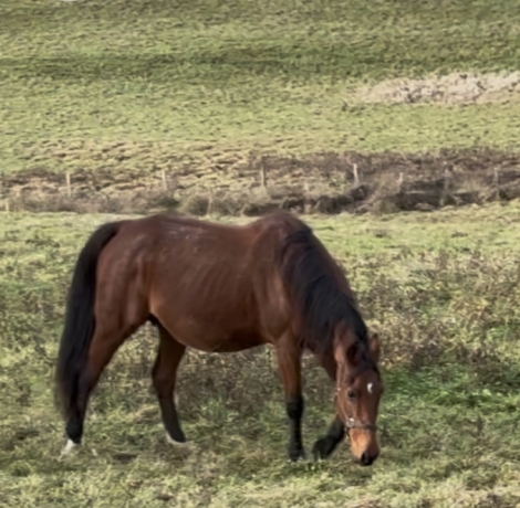 Safie-pont-vautier-1-13