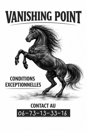 Saillies-Vanishing-Point-0