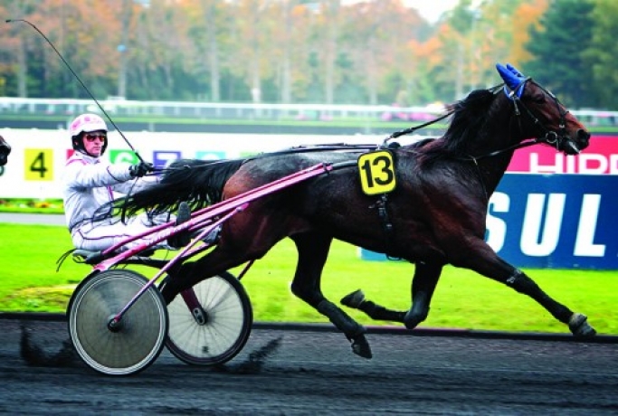 Vends-part-de-VILLAGE-MYSTIC-(Love-You--Netchka-d-Orgeres-par-Full-Account)