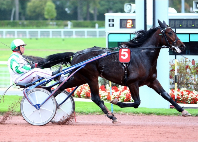 Part-de-Fifty-Kalouma