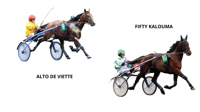 Parts---Alto-de-Viette-et-Fifty-Kalouma---Une-affaire-=-14-900-€-HT