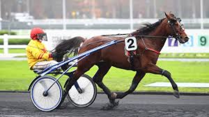 Parts-d-Alto-de-Viette