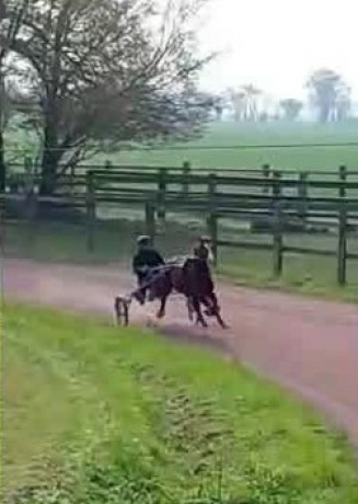 N-hongres-a-ressayer