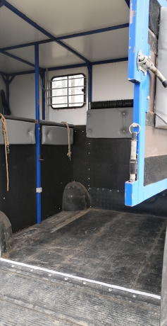 Camion-betaillere-vl-chevaux-2-places-Renault-Master-dci-150-(haut-moteur-700km)-1