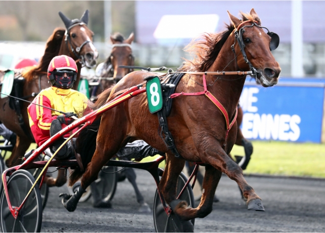 A-vendre-saillie-Gelati-cut