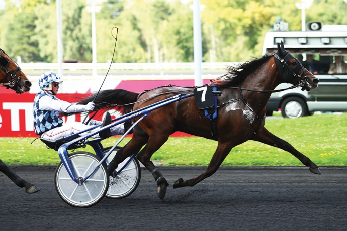 Vends-saillie-EXPRESS-JET-(Goetmals-Wood--Run-for-Jet-par-Coktail-Jet)