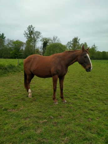 Pourquoi-pas-une-petite-fille-de-SLAVE-dans-votre-elevage-