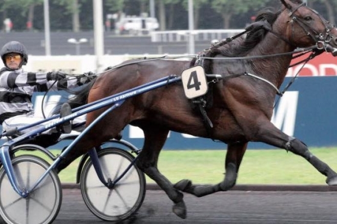 Vends-Saillie-de-REAL-DE-LOU-sans-TVA-0