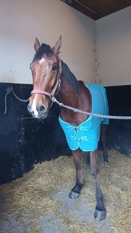 Vend-M-pret-a-courrir